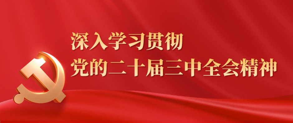 河北省水渠科技有限公司深入學習貫徹黨的二十屆三中全會精神